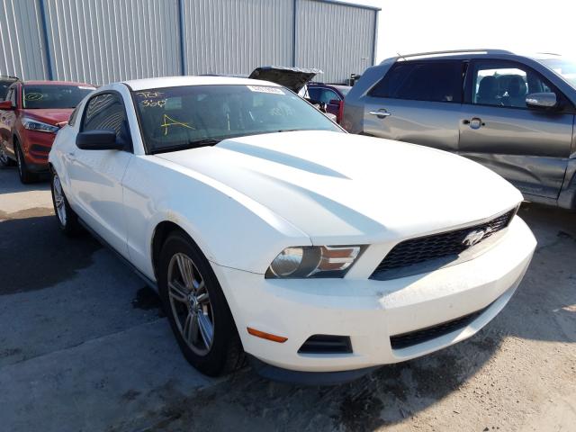 FORD MUSTANG 2011 1zvbp8am9b5133637