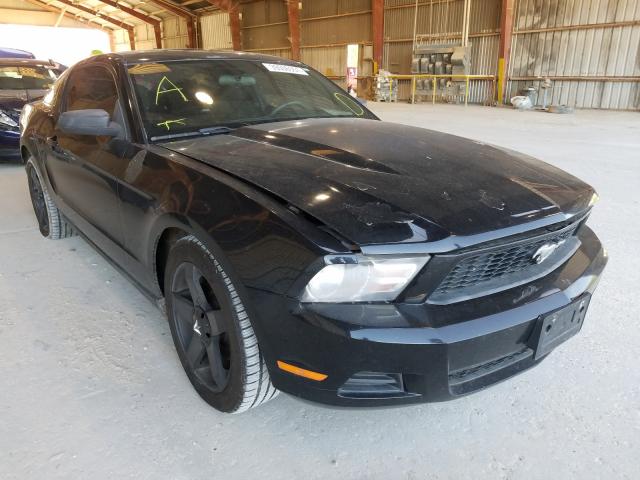 FORD MUSTANG 2011 1zvbp8am9b5134450