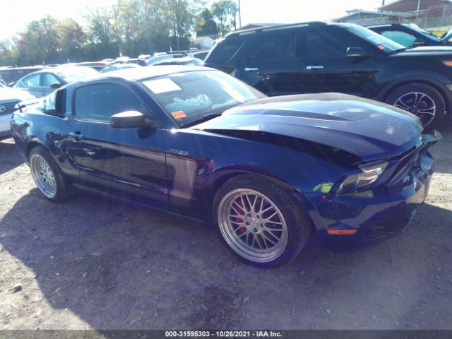 FORD MUSTANG 2011 1zvbp8am9b5135114