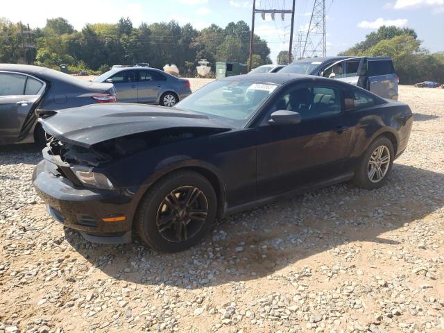 FORD MUSTANG 2011 1zvbp8am9b5137512