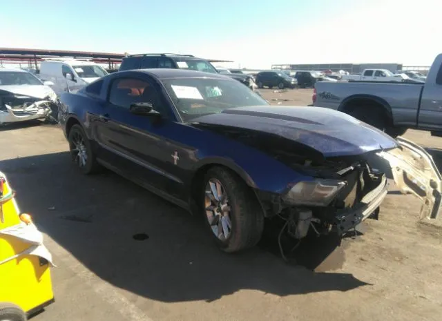 FORD MUSTANG 2011 1zvbp8am9b5141950