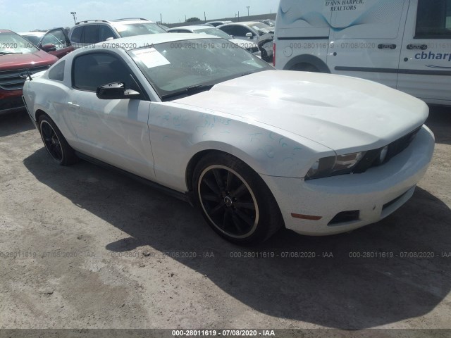 FORD MUSTANG 2011 1zvbp8am9b5142788