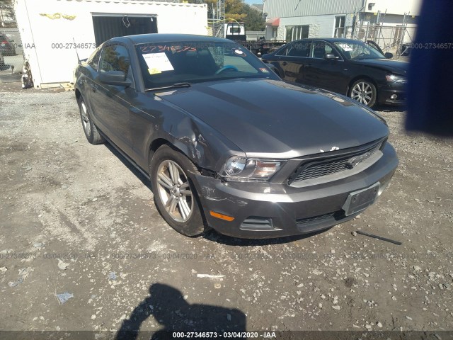 FORD MUSTANG 2011 1zvbp8am9b5147280