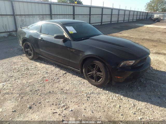 FORD MUSTANG 2012 1zvbp8am9c5250393