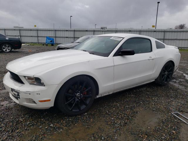 FORD MUSTANG 2012 1zvbp8am9c5251804