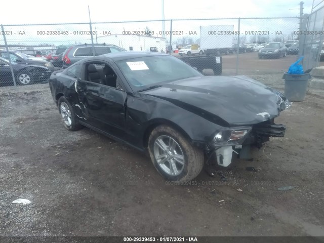 FORD MUSTANG 2012 1zvbp8am9c5253942