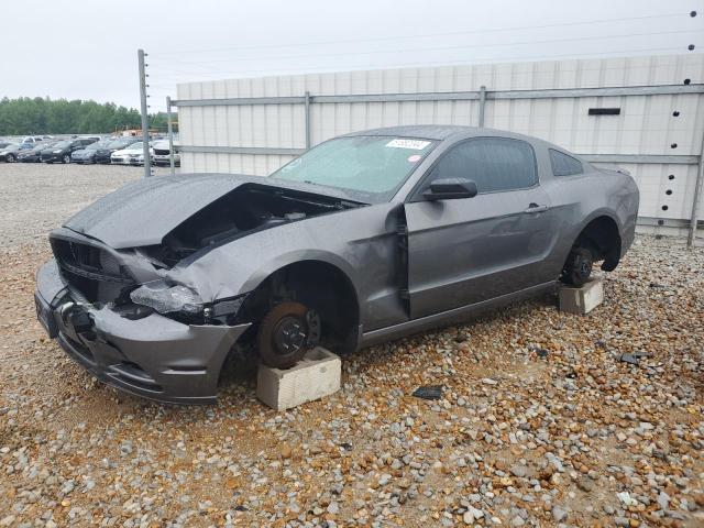 FORD MUSTANG 2013 1zvbp8am9d5213264