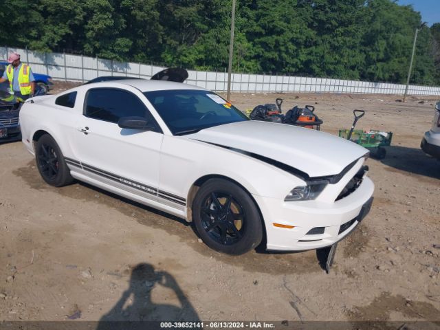 FORD MUSTANG 2013 1zvbp8am9d5223874