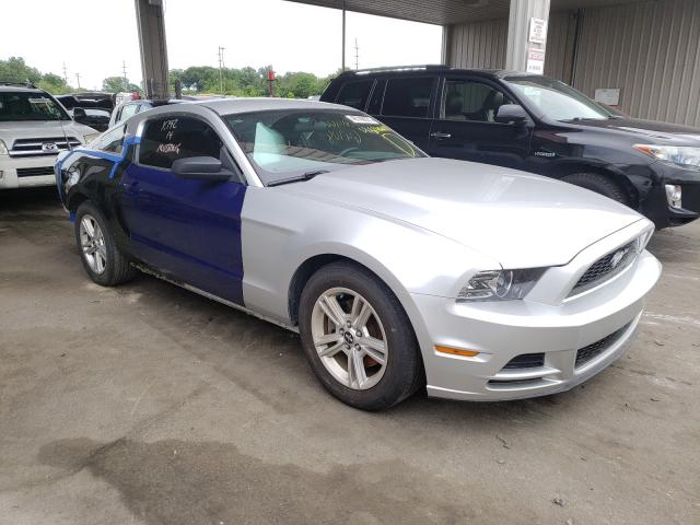 FORD MUSTANG 2013 1zvbp8am9d5226449