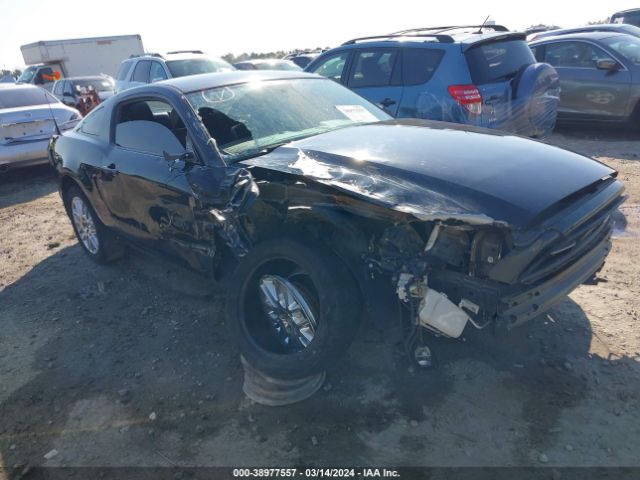 FORD MUSTANG 2013 1zvbp8am9d5248953