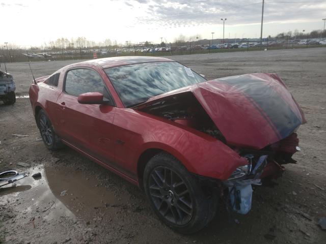 FORD MUSTANG 2013 1zvbp8am9d5251058