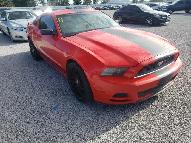 FORD MUSTANG 2013 1zvbp8am9d5251321