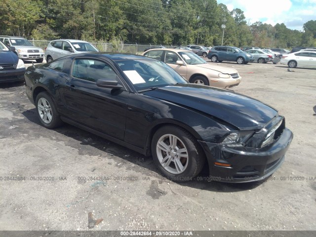 FORD MUSTANG 2013 1zvbp8am9d5252288