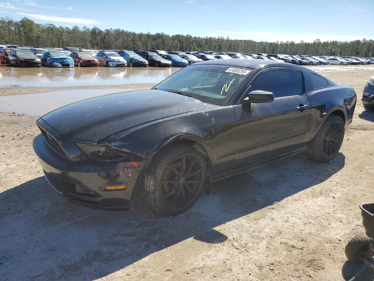 FORD MUSTANG 2013 1zvbp8am9d5270502