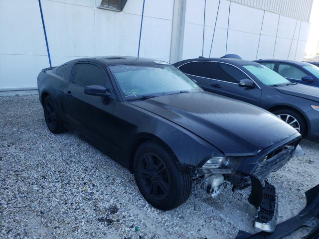 FORD MUSTANG 2013 1zvbp8am9d5273979