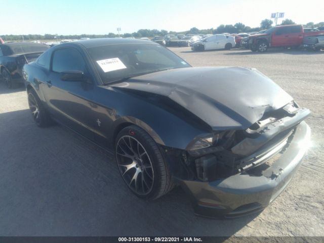 FORD MUSTANG 2013 1zvbp8am9d5275862