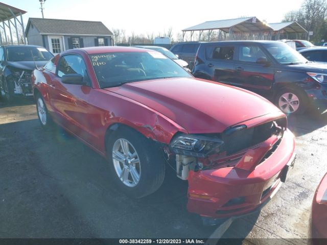 FORD MUSTANG 2013 1zvbp8am9d5278230