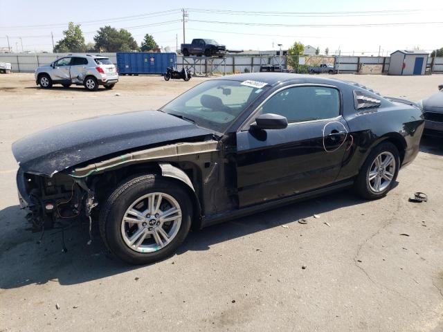 FORD MUSTANG 2013 1zvbp8am9d5279510