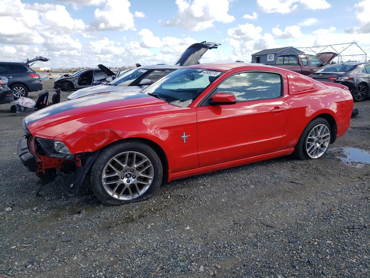 FORD MUSTANG 2013 1zvbp8am9d5280057