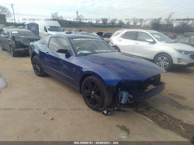 FORD MUSTANG 2013 1zvbp8am9d5281502