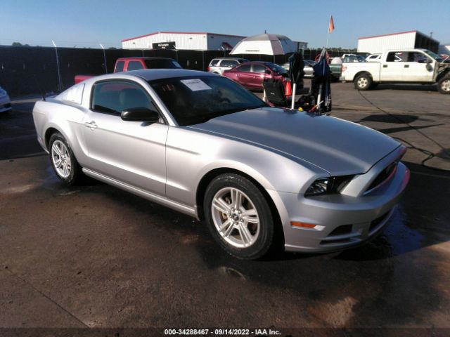 FORD MUSTANG 2014 1zvbp8am9e5236061