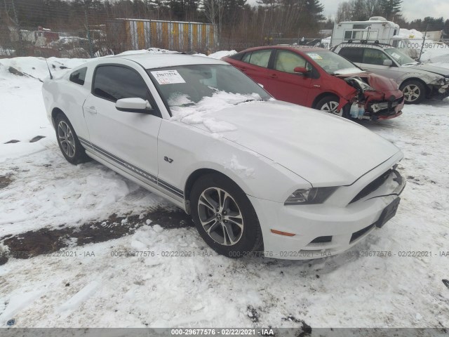 FORD MUSTANG 2014 1zvbp8am9e5240501