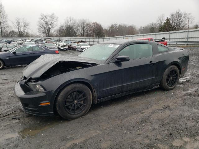 FORD MUSTANG 2014 1zvbp8am9e5240515