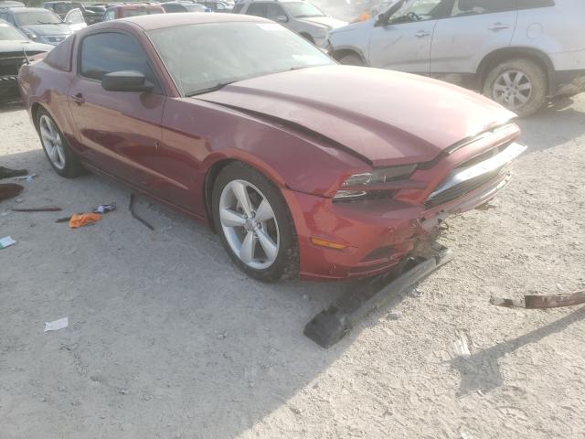 FORD MUSTANG 2014 1zvbp8am9e5240756