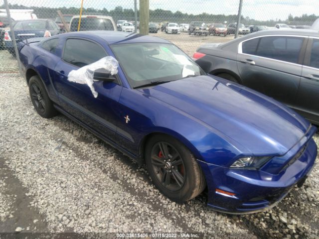 FORD MUSTANG 2014 1zvbp8am9e5251949