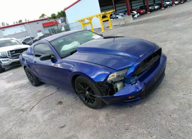 FORD MUSTANG 2014 1zvbp8am9e5267813