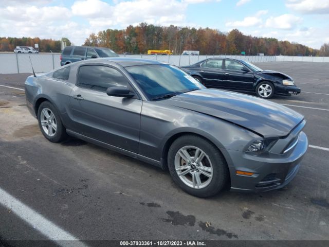 FORD MUSTANG 2014 1zvbp8am9e5277533