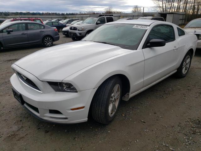 FORD MUSTANG 2014 1zvbp8am9e5278813