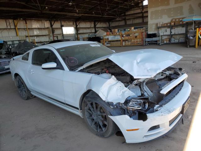 FORD MUSTANG 2014 1zvbp8am9e5280707