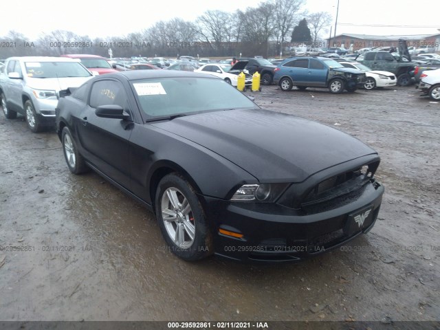 FORD MUSTANG 2014 1zvbp8am9e5284787