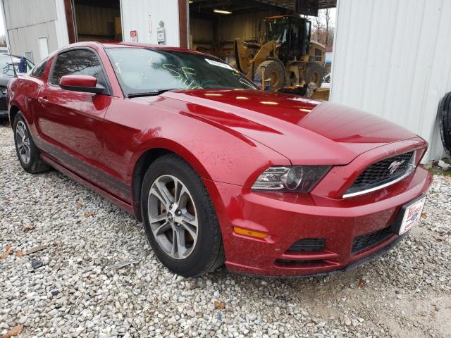 FORD MUSTANG 2014 1zvbp8am9e5288435