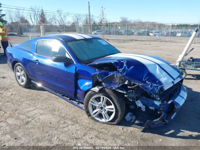 FORD MUSTANG 2014 1zvbp8am9e5295854