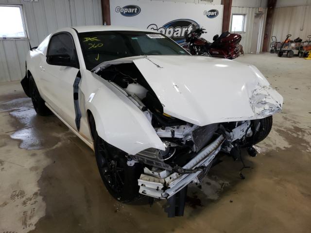 FORD MUSTANG 2014 1zvbp8am9e5313365