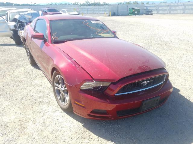 FORD MUSTANG 2014 1zvbp8am9e5328903