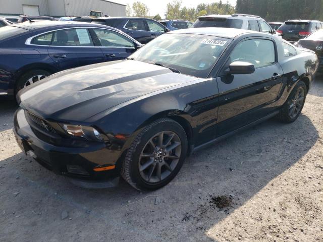 FORD MUSTANG 2011 1zvbp8amxb5101683