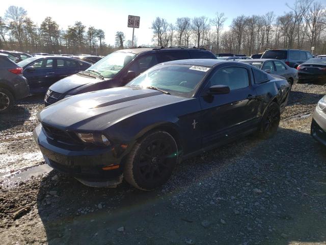 FORD MUSTANG 2011 1zvbp8amxb5102963