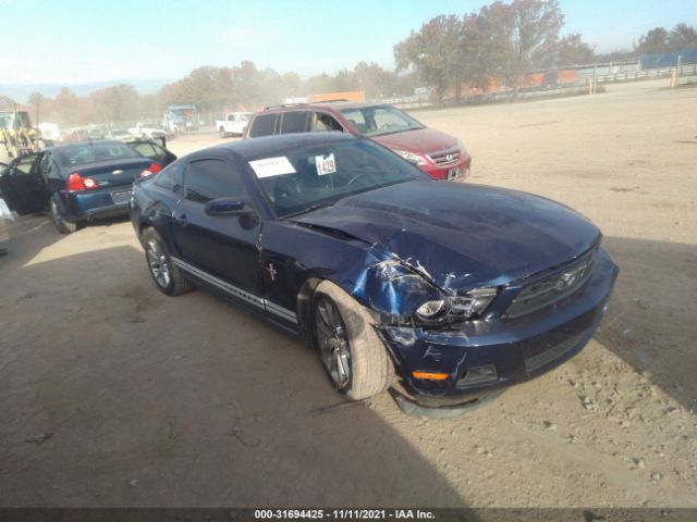 FORD MUSTANG 2011 1zvbp8amxb5103269