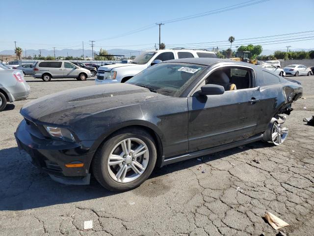 FORD MUSTANG 2011 1zvbp8amxb5105569