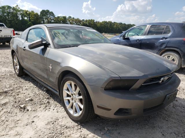 FORD MUSTANG 2011 1zvbp8amxb5106091