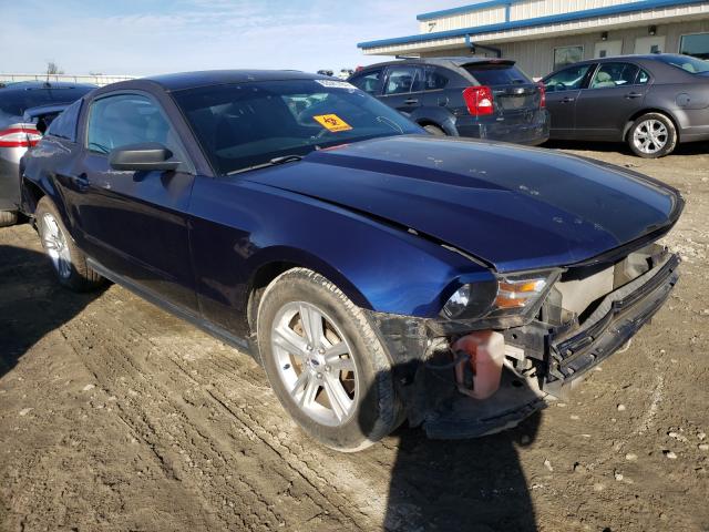 FORD MUSTANG 2011 1zvbp8amxb5109752