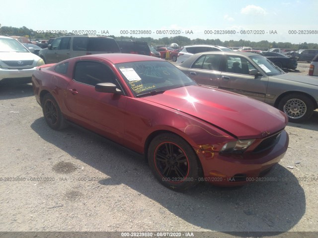 FORD MUSTANG 2011 1zvbp8amxb5111517