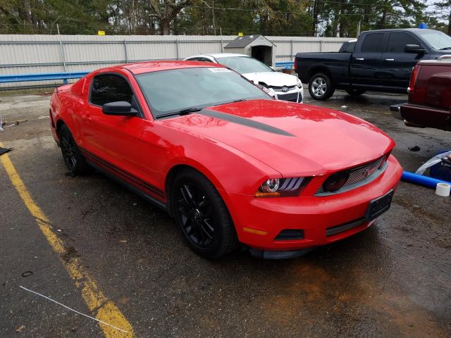 FORD MUSTANG 2011 1zvbp8amxb5111694