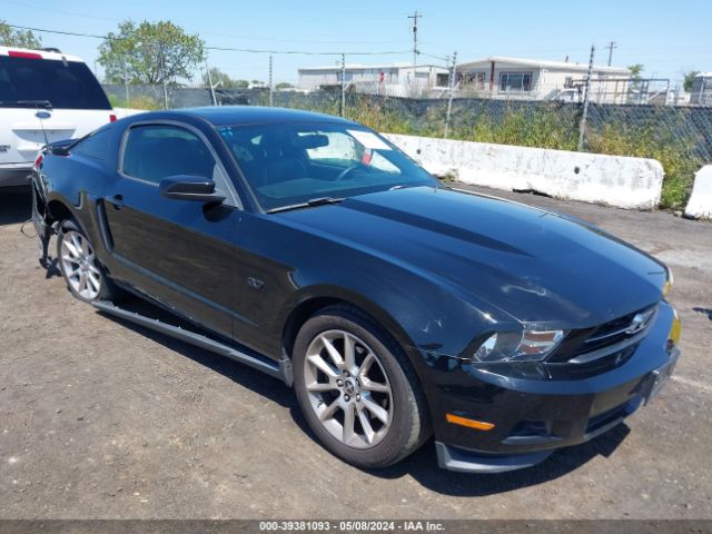 FORD MUSTANG 2011 1zvbp8amxb5114577