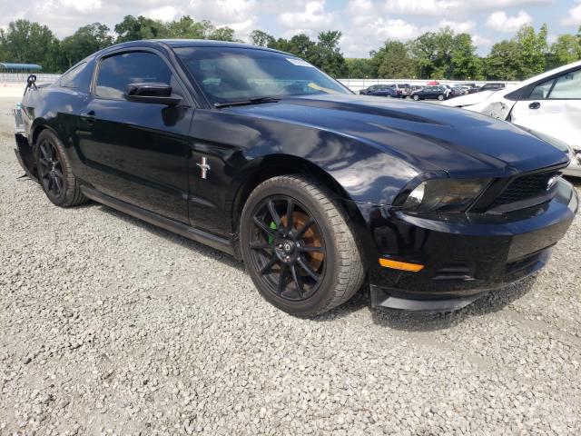 FORD MUSTANG 2011 1zvbp8amxb5115177