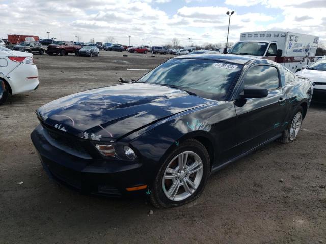 FORD MUSTANG 2011 1zvbp8amxb5116958