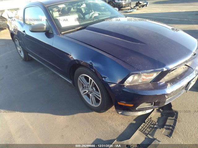 FORD MUSTANG 2011 1zvbp8amxb5117477